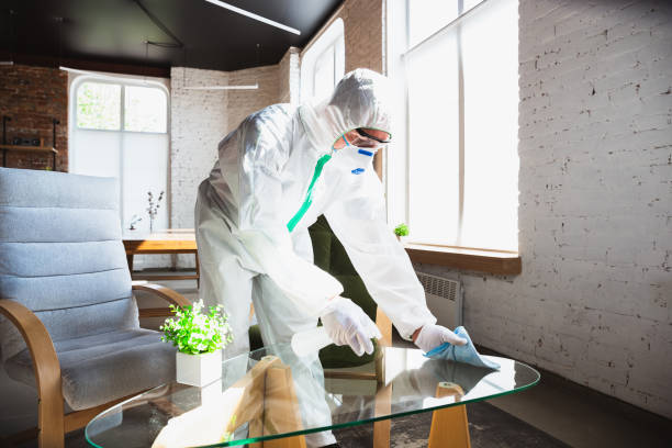 Why You Should Choose Our Mold Remediation Services in Parkland, FL